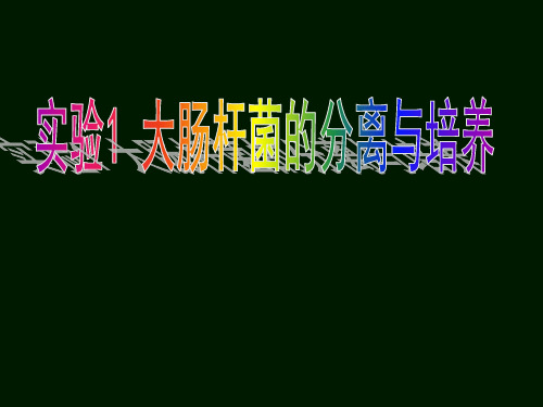 实验1 大肠杆菌的分离和培养