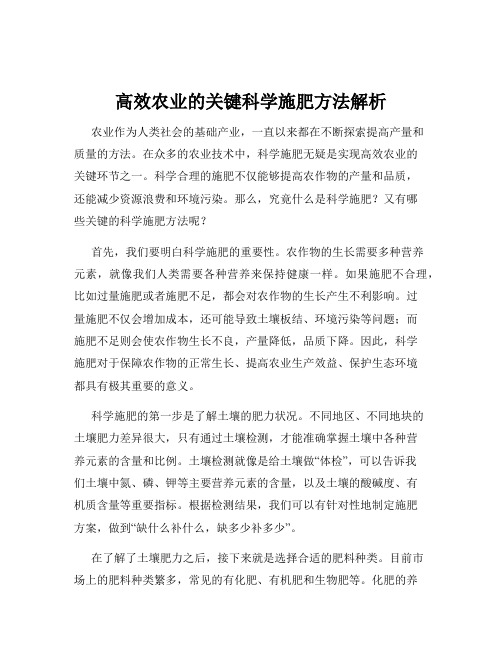 高效农业的关键科学施肥方法解析