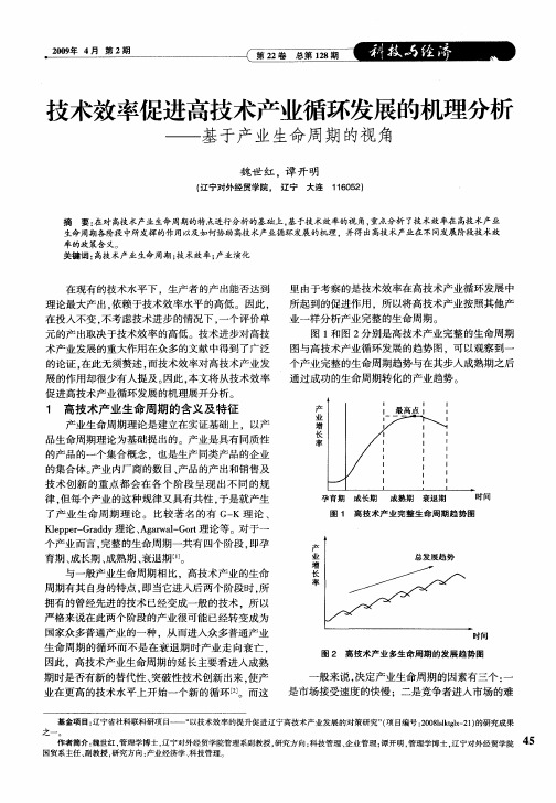 技术效率促进高技术产业循环发展的机理分析——基于产业生命周期的视角