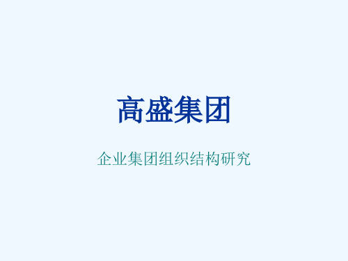 高盛集团组织结构研究.ppt