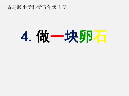 青岛版小学五年级科学上册《做一块卵石》课件