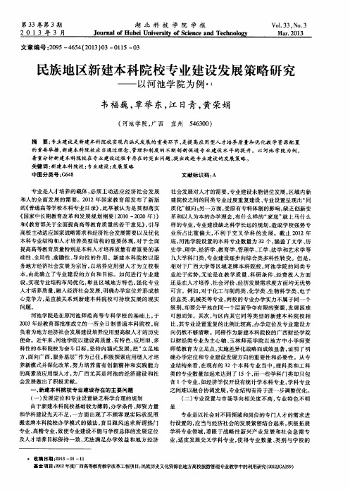 民族地区新建本科院校专业建设发展策略研究——以河池学院为例