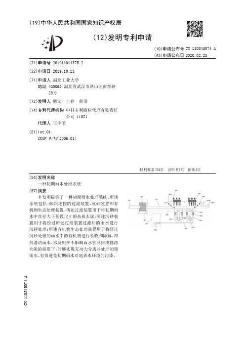 一种初期雨水处理系统[发明专利]