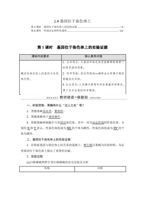 新教材苏教版高中生物必修2遗传与进化 1.4基因位于染色体上 学案(知识点考点汇总及配套习题)