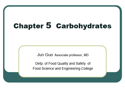 Chapter 5  Carbohydrates共32页文档