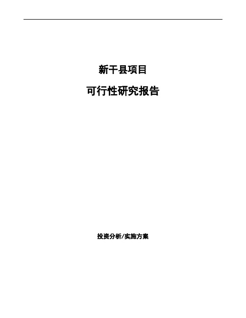 新干县项目可行性研究报告(立项申请)