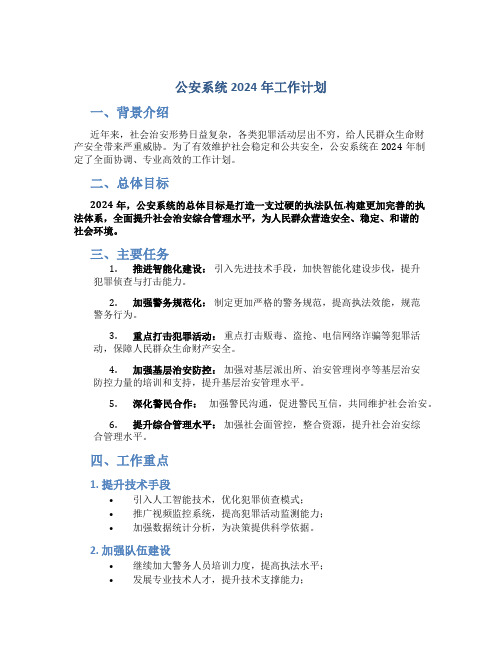 公安系统2024年工作计划