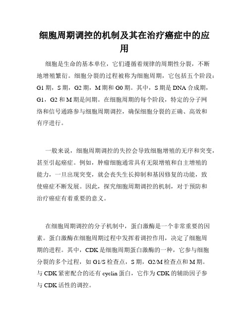 细胞周期调控的机制及其在治疗癌症中的应用