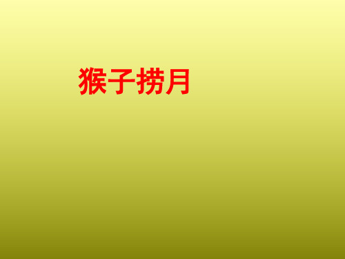 一年级下册美术课外班课件-4、猴子捞月(共19张PPT)-全国通用