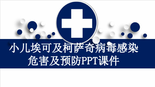 小儿埃可及柯萨奇病毒感染危害及预防PPT课件