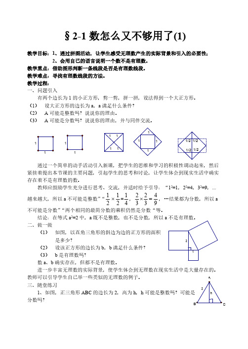 北师大版初中数学八年级上册第二章教案