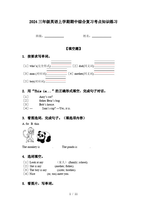 2024三年级英语上学期期中综合复习考点知识练习