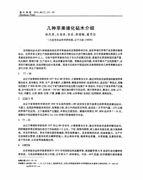 几种苹果矮化砧木介绍