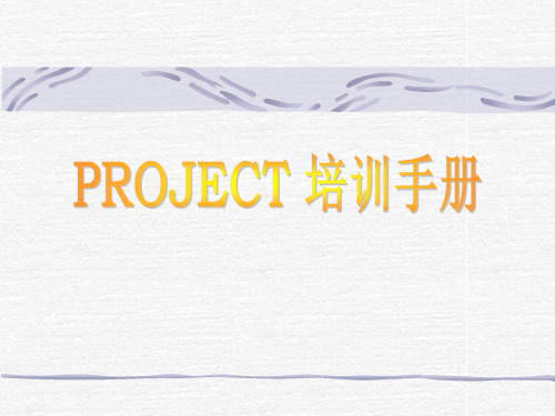 project项目培训手册