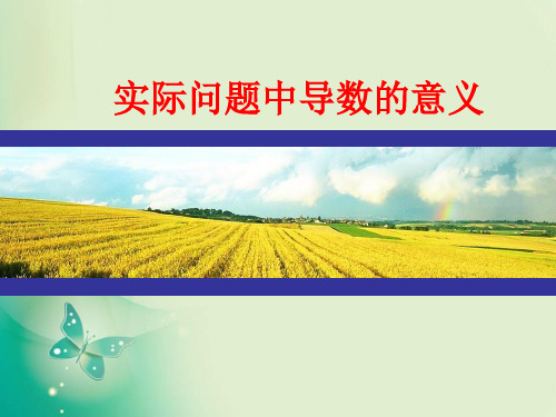 优课系列高中数学北师大版选修22 3.2.1实际问题中导数的意义 课件(14张)