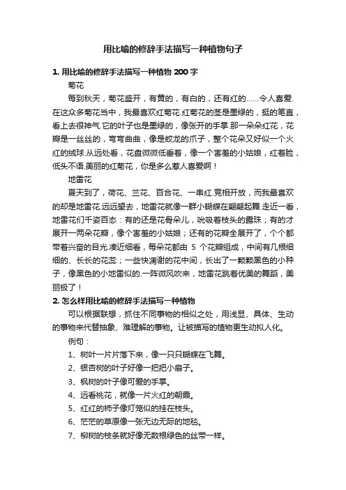 用比喻的修辞手法描写一种植物句子