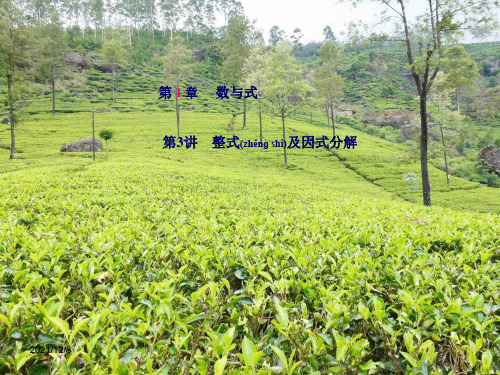 中考数学复习 第1章 数与式 第3讲 整式及因式分解课件