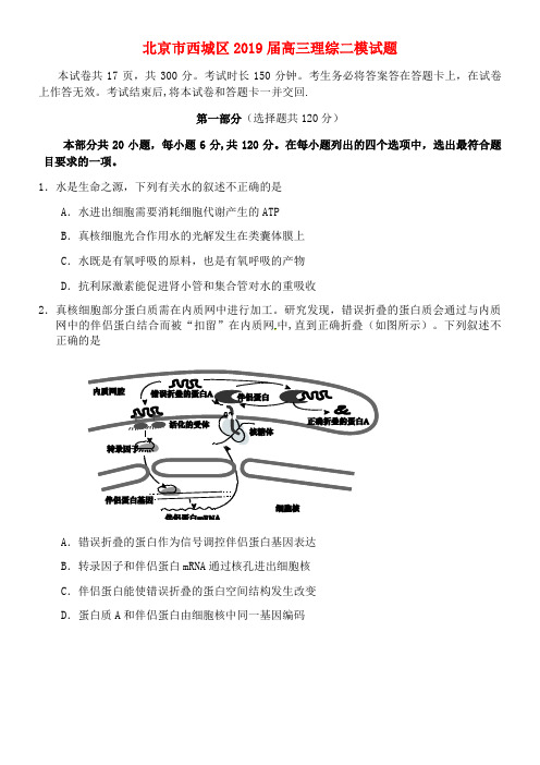 北京市西城区近年届高三理综二模试题(最新整理)