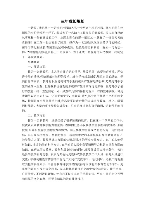 初中历史新入职教师三年成长规划