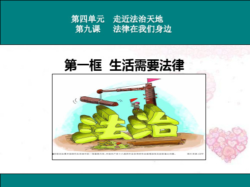 人教版《道德与法治》七年级下册 9.1 生活需要法律 课件(共23张PPT)