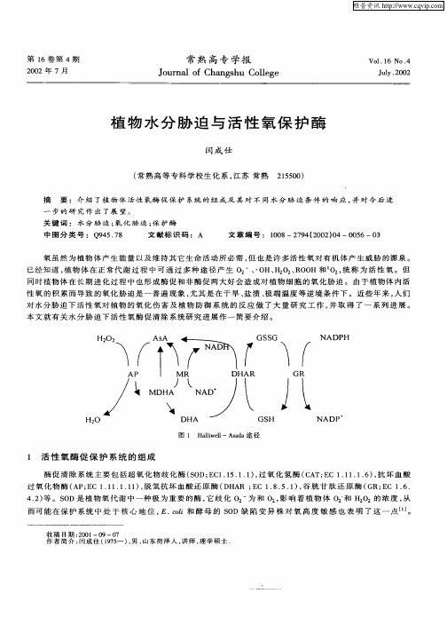 植物水分胁迫与活性氧保护酶