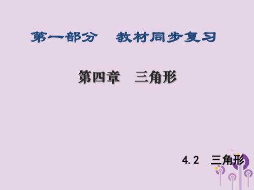 陕西专版中考数学新突破复习第一部分第四章三角形4.2三角形课件