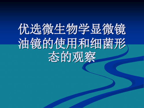 优选微生物学显微镜油镜的使用和细菌形态的观察