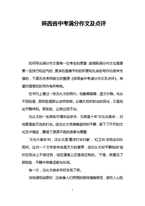 陕西省中考满分作文及点评