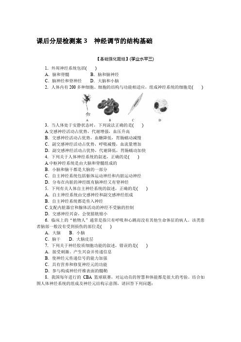 高中生物选择性必修一 高考训练 练习习题 课后分层检测案3