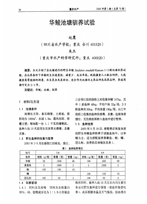 华鲮池塘驯I养试验