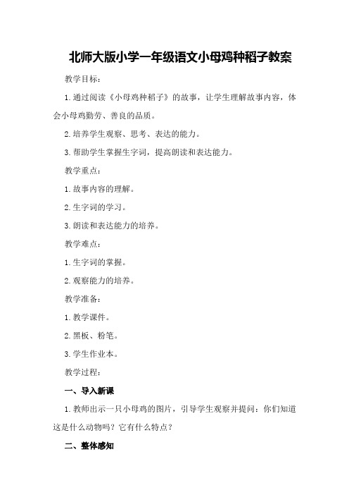 北师大版小学一年级语文小母鸡种稻子教案