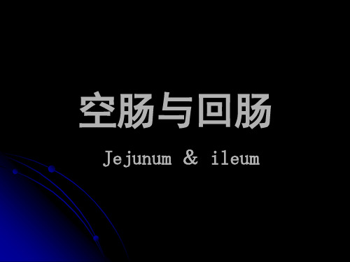第四部分:小肠,结肠