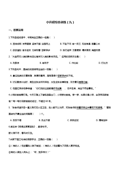 2019年小升初名校冲刺语文综合训练(9)人教课标( 含答案)