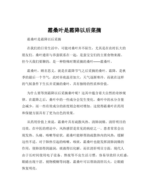 霜桑叶是霜降以后菜摘