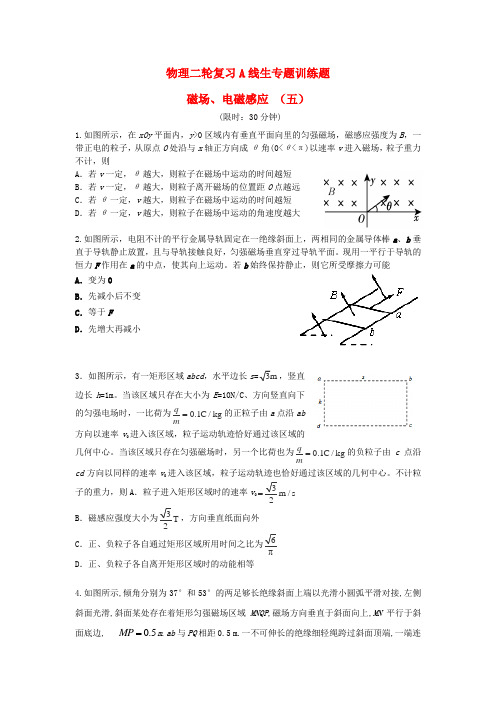 四川省宜宾市南溪区第二中学校高考物理 专题训练 磁场、电磁感应(五)