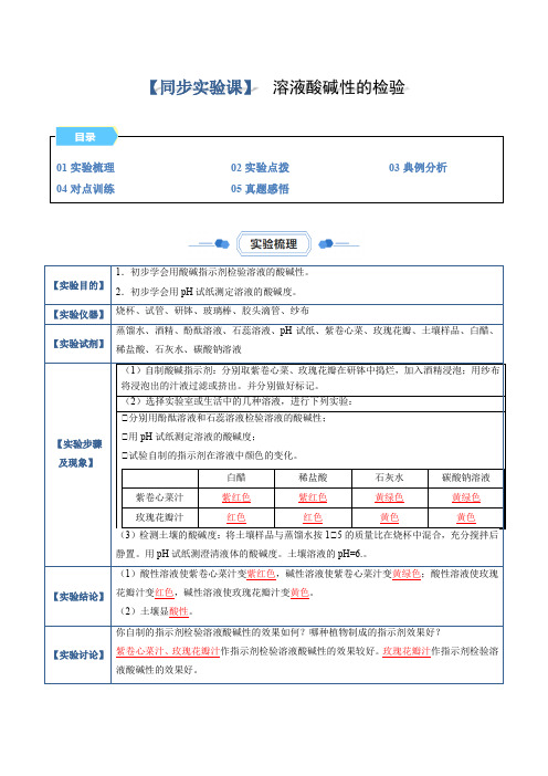 实验08 溶液酸碱性的检验(解析版)