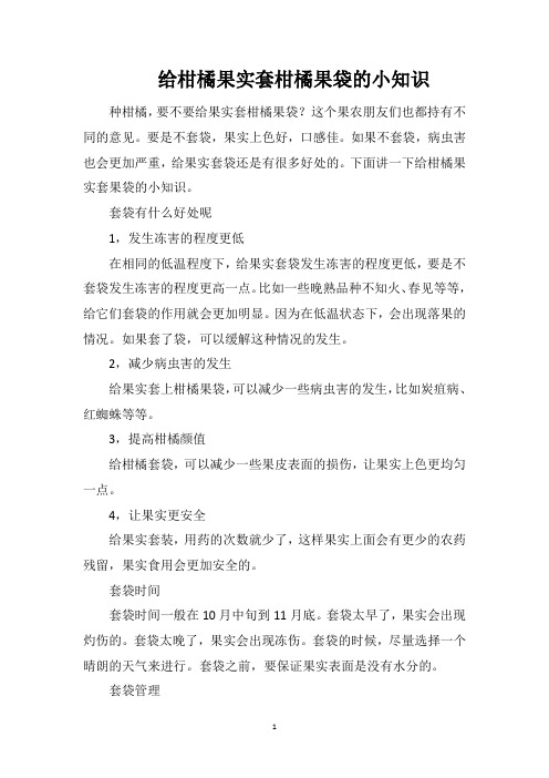 给柑橘果实套柑橘果袋的小知识