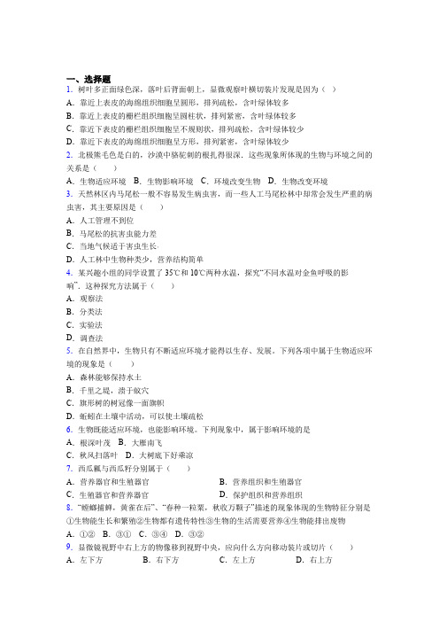 湖南省重点中学市联考2019年七上生物期末模拟教学质量检测试题之三