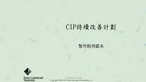 CIP持续改善计划范例