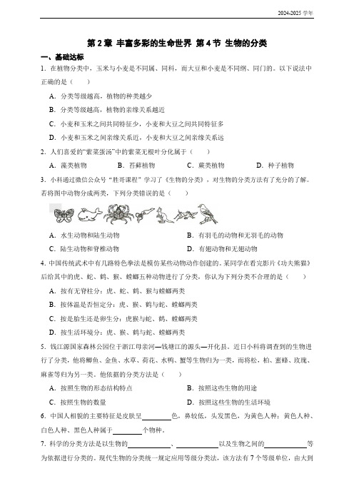 【同步练习】2024新版科学七上 2.4生物的分类