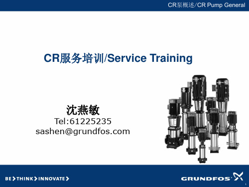 Grundfos pump