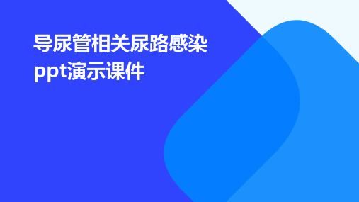 导尿管相关尿路感染PPT演示课件