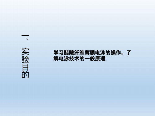 醋酸纤维薄膜电泳实验总结