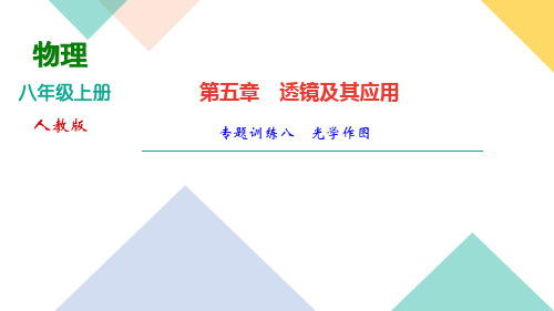 人教版物理八年级上册作业课件第五章专题训练八 光学作图