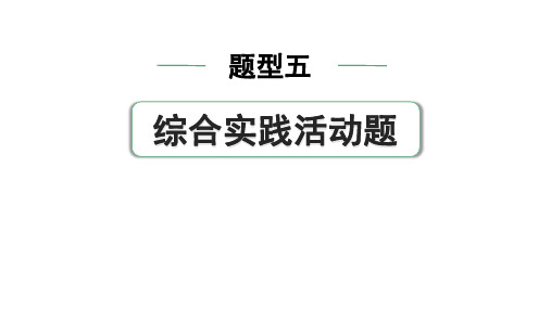 2024中考物理备考专题 题型五 综合实践活动题(课件)