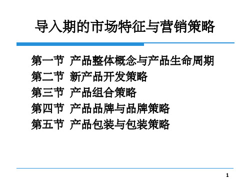 导入期的市场特征与营销策略PPT课件