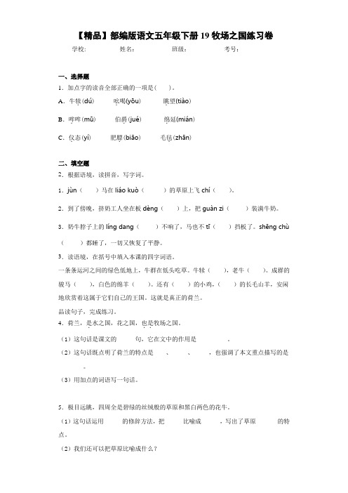 小学部编版语文五年级下册19牧场之国练习卷(含答案解析)