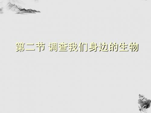 七年级生物上册 我们身边的生物图片1课件 人教新课标版
