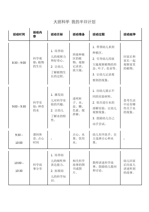 大班科学 我的半日计划