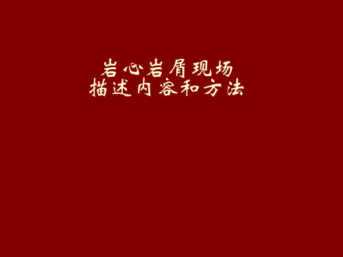 岩心岩屑现场描述内容和方法